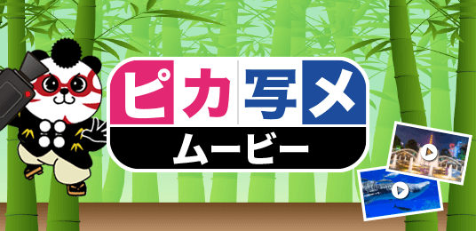 ピカ写メ・ムービー