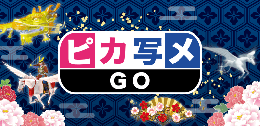 ピカ写メGO