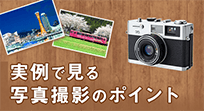 実例で見る写真撮影のポイント