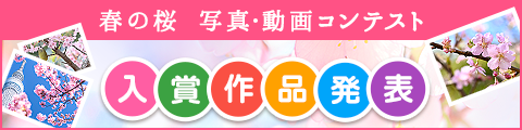 春の桜写真・動画コンテスト 入賞作品発表