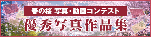 春の桜写真・動画コンテスト 写真コンテスト作品集