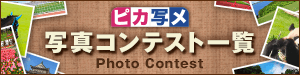 ピカ写メ　写真コンテスト一覧