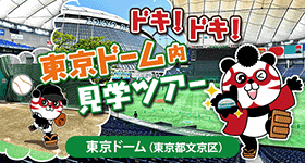 ドキ！ドキ！東京ドーム内見学ツアー（東京都文京区）