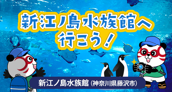 新江ノ島水族館へ行こう！（神奈川県藤沢市）