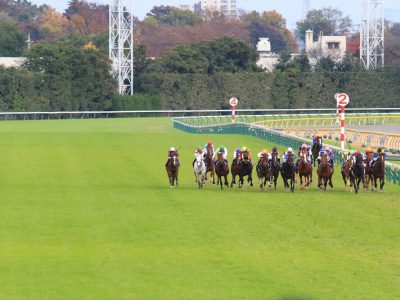 ワイド馬券の買い方から払い戻しまで