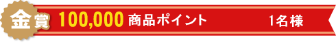 金賞:100,000商品ポイント 1名様