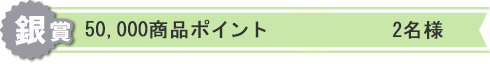 銀賞:50,000商品ポイント 2名様