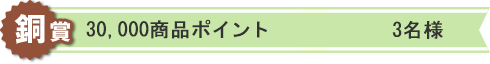 銅賞:30,000商品ポイント 3名様