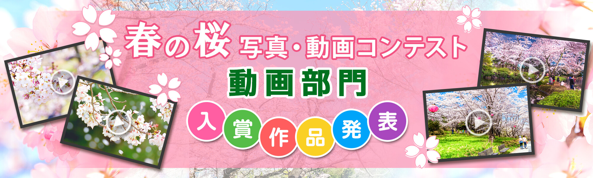 春の桜写真・動画コンテスト 動画部門 入賞作品発表