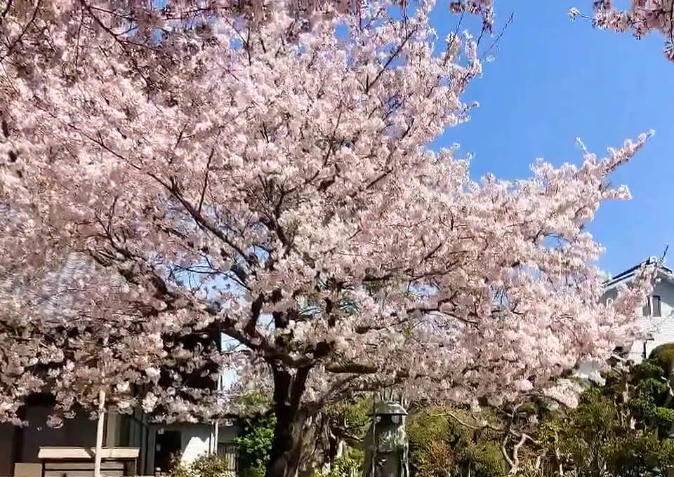 退魔寺
