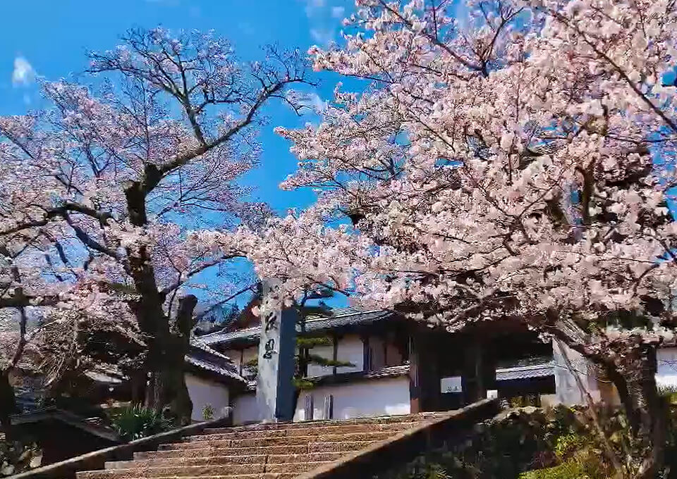 歴史あるお寺です。