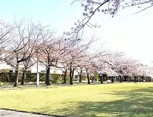 宝野公園