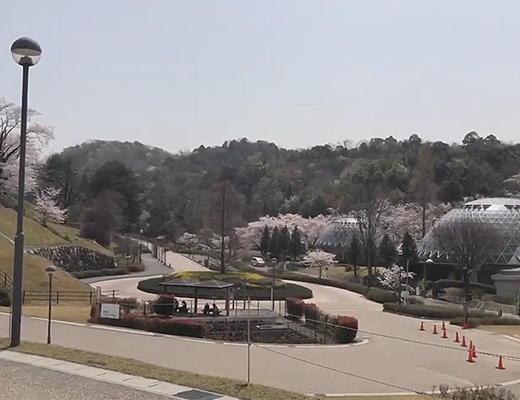 風景