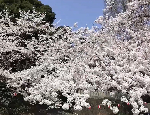 足利公園