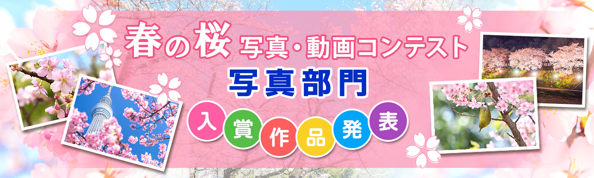 春の桜写真・動画コンテスト 写真部門 入賞作品発表