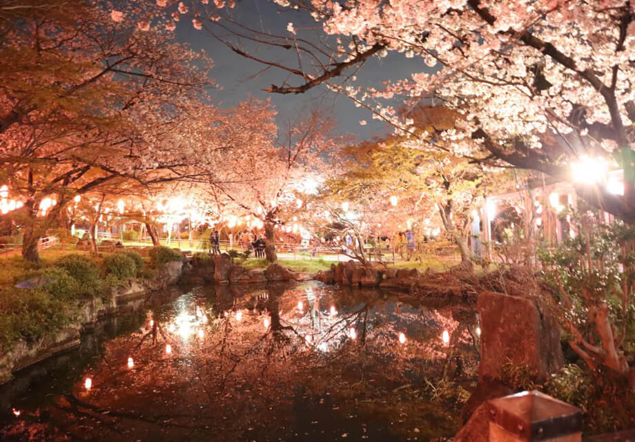 夜のライトアップされた心字池です。