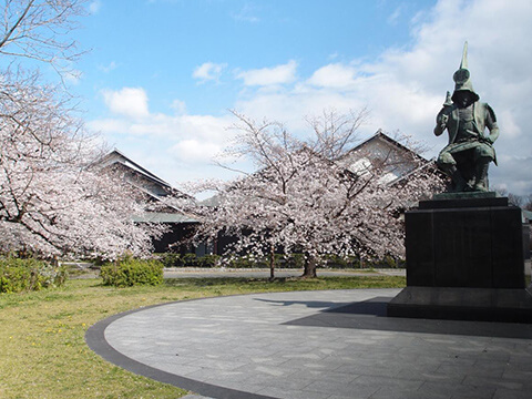 名古屋能楽堂と清正公と桜です