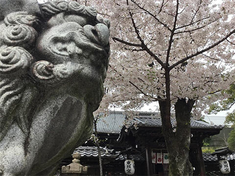 中区の名古屋東照宮です。