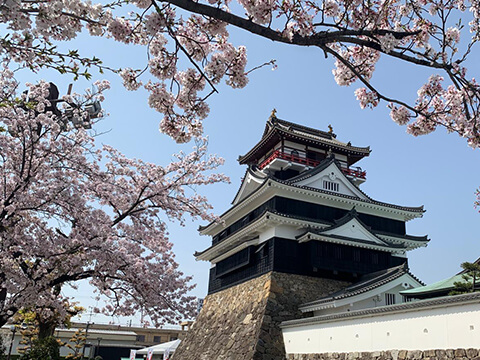 桜と清洲城