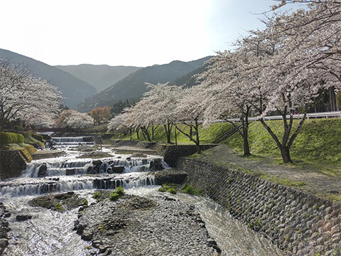 風景