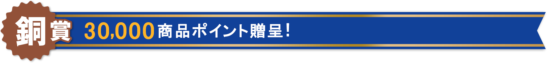 【銅賞】商品ポイント30,000ポイント贈呈!