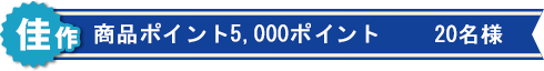 佳作:商品ポイント5,000ポイント 20名様