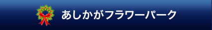 あしかがフラワーパーク