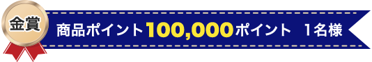 金賞:商品ポイント100,000ポイント 1名様