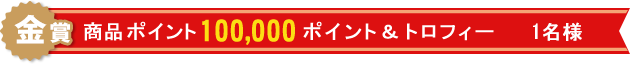 金賞:商品ポイント100,000ポイント 1名様