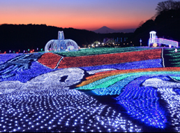 東京ドイツ村