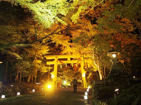 日吉