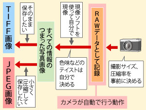 RAWの撮影方法と特徴