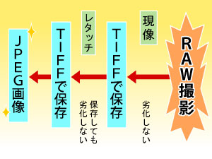 RAWデータの画像編集・処理