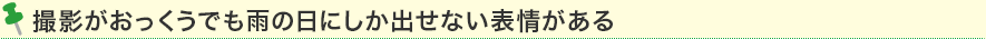 撮影がおっくうでも雨の日にしか出せない表情がある