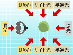 上から見た光線の図解