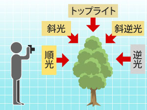 横から見た光線の図解