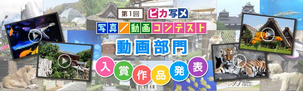 第1回 ピカ写メ写真コンテスト/動画コンテスト動画部門入賞作品発表