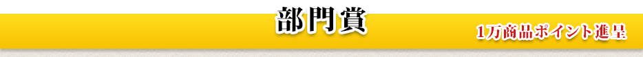 部門賞