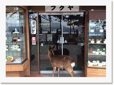6位イメージ