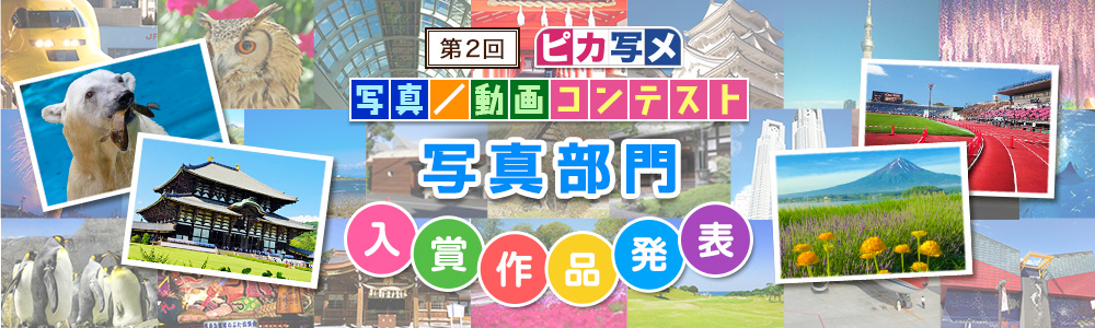 第2回 ピカ写メ写真コンテスト/動画コンテスト写真部門入賞作品発表