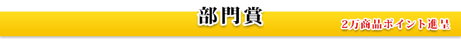 部門賞
