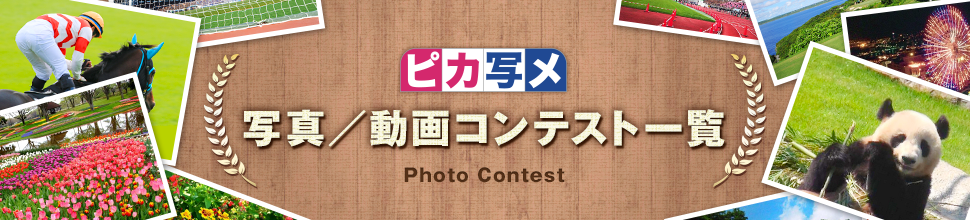 ピカ写メ写真/動画コンテスト一覧