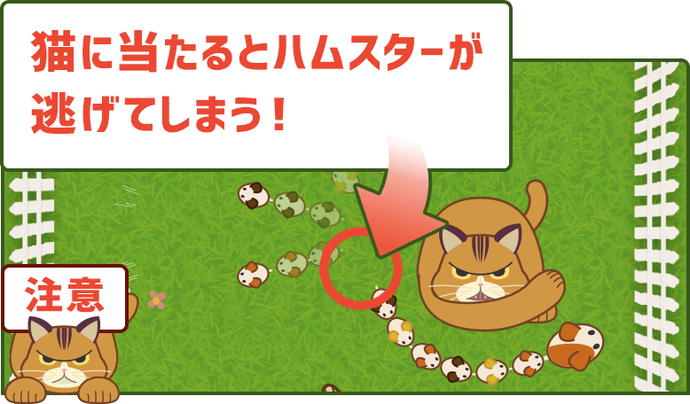 猫に当たるとハムスターが逃げてしまう！