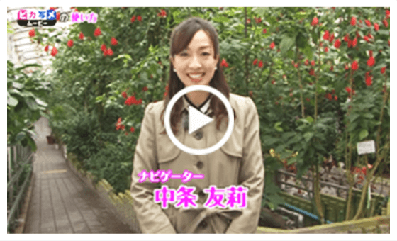 ピカ写メ・ムービーの使い方動画