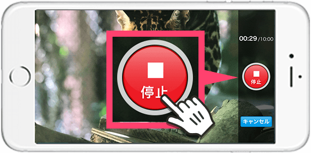 フリー撮影機能使用イメージ