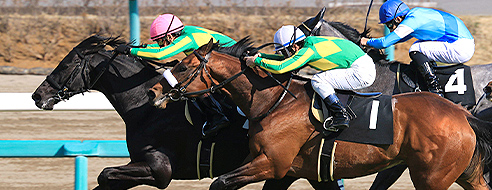 競馬場