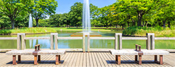 公園・庭園/緑地公園