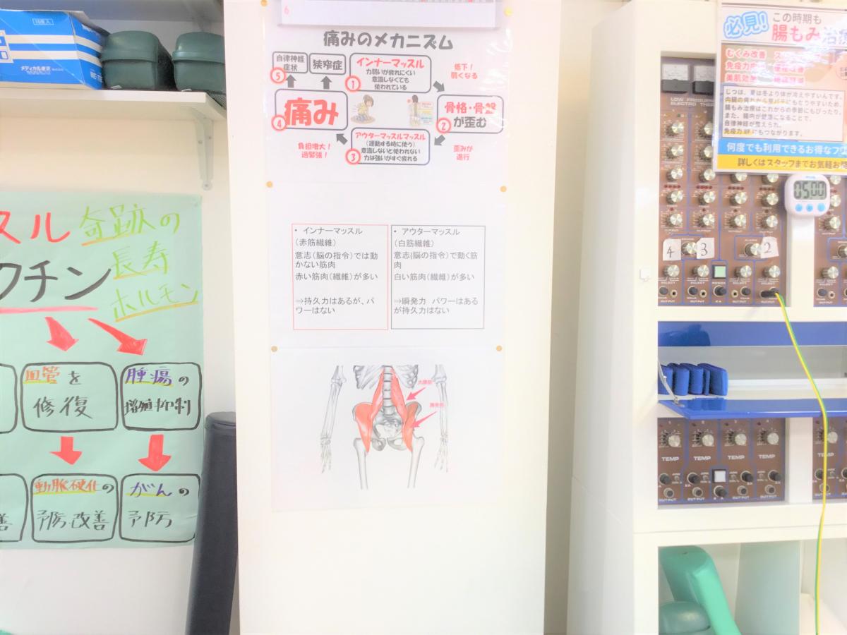 接骨ネット】矢口渡中央整骨院(東京都大田区多摩川1-26-1綱島園101) へ