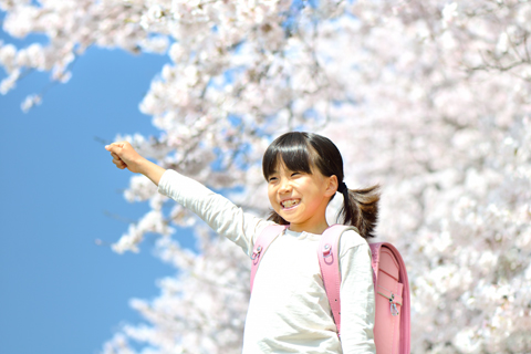 同じ桜の木の前で