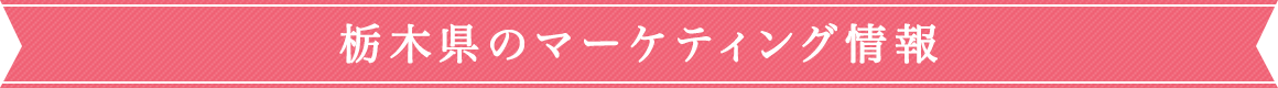 栃木県のマーケティング情報